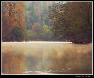 Fall's Morning Mist
