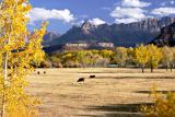 Fall Pasture Along the Virgin2.jpg