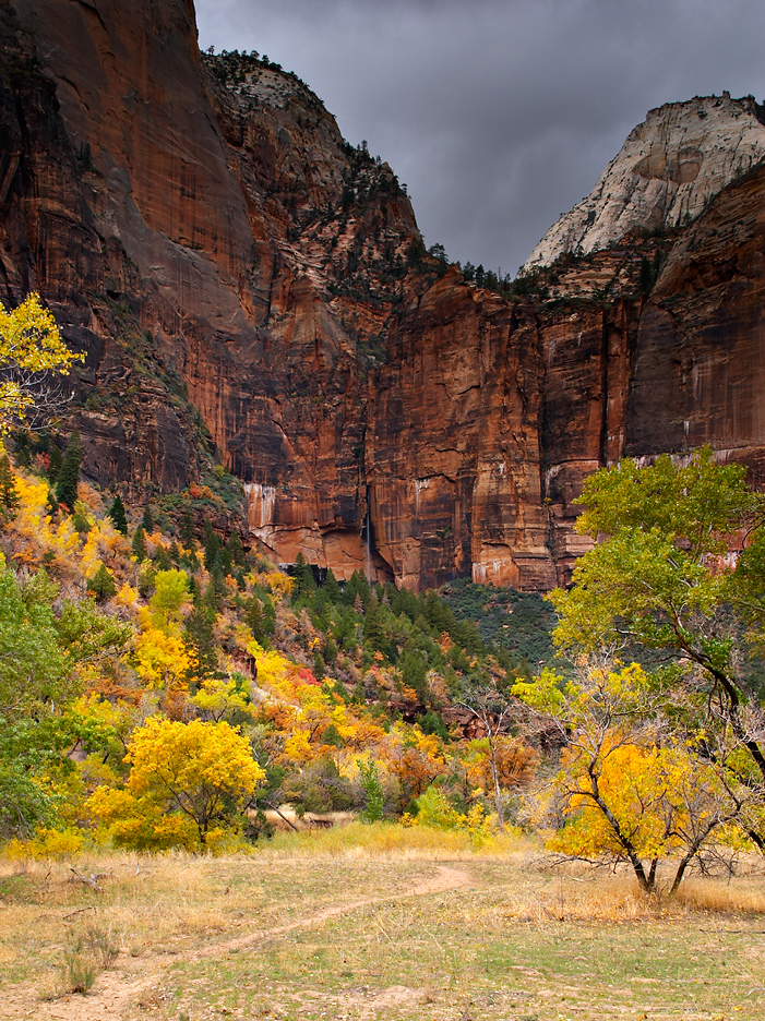Fall in Zion.jpg