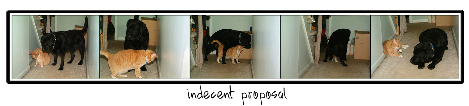 indecent proposal