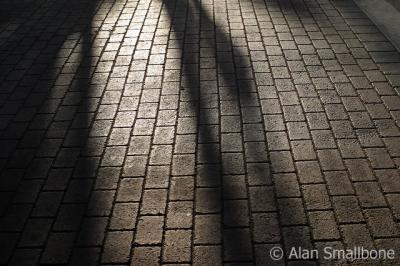 shadows
