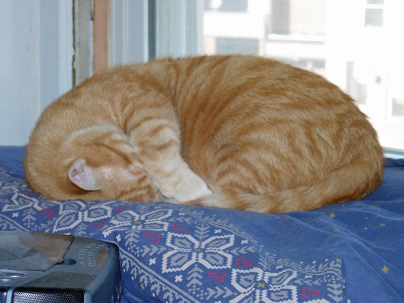 Malcolm sleeps cute.