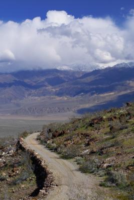 the old road, panamint valley