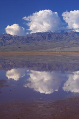 mud flats