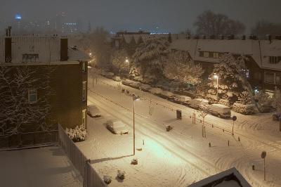 DSC_1008.jpg