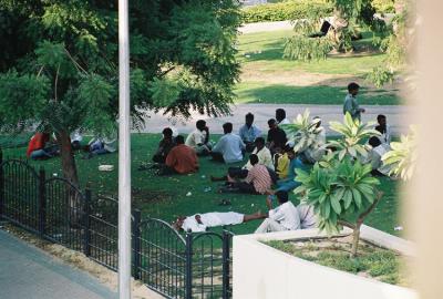 The park by the bus stand, from my window, filled with laborers