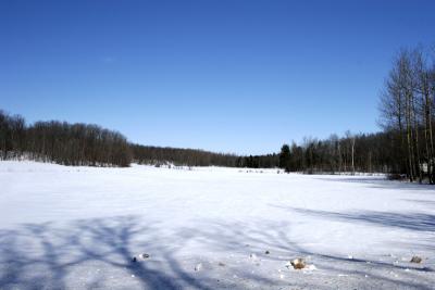 _MG_0118.jpg