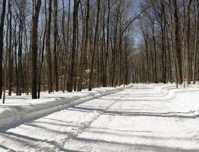 _MG_0140.jpg