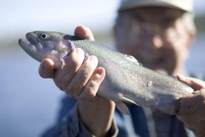 June Lake Fishing Trip with Dad 2004