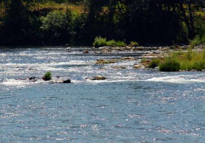 2004_0714_133600.jpg