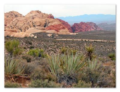 red rock canyon