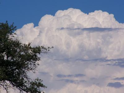 Storm A Brewing (Jul 23rd)