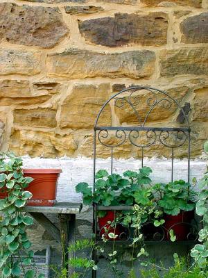 Ornamental delight*by daniel@play