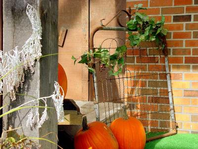 Pumpkins & the vine*by daniel@play
