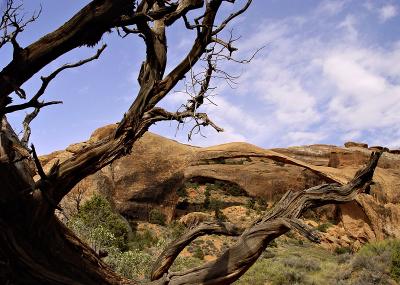 Sticks Framing Stone *  by mlynn