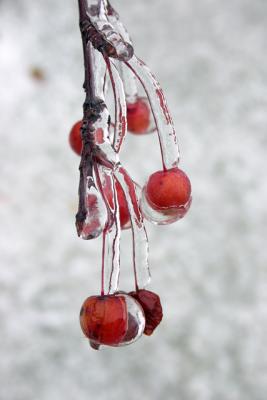 Frozen Color* by Mikelj