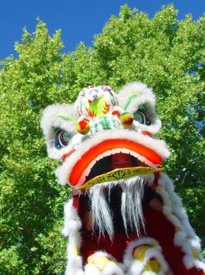 Chinese Lion Dancer* by Ric Skilton