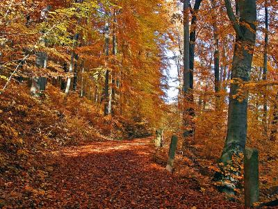 Indian Summer by Klaus Wiese