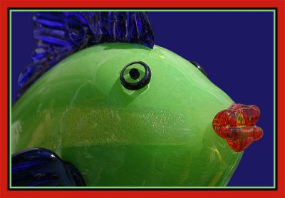 Glass Fish*by Ann Chaikin
