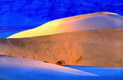 3rdFootprints In Sand Dunes by Bobby Tan