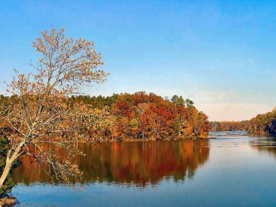 Reflecting Color*