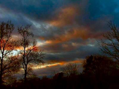 Sky Moods In November*