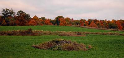 Autumn Roadside*by Michael Buckman