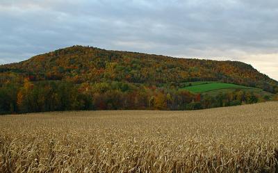 Willard Mountain*by Michael Buckman