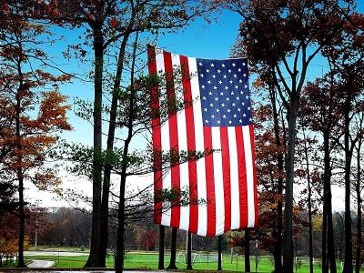Veterans Day Tributeby Bev Brink
