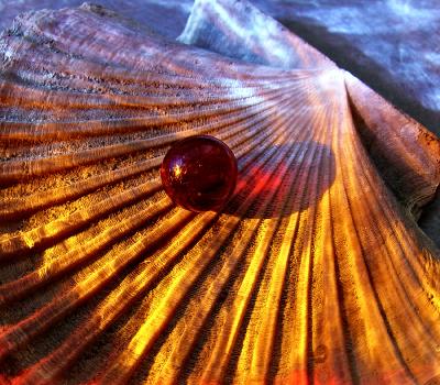 6thNot a Pearl *  by mlynn