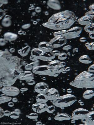 Bubbles* by Dan Koyanagi
