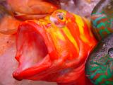 <b>7th</b><br><b> Say Aaahh! </b> <br> <font size=1> by Helen Betts</font></p>