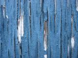 Fence <BR> by Vera