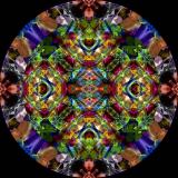 <b>Colorwheel</b><br><font size=1>by Tomrok</font>