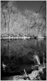 BlackWater<Br>By Dani