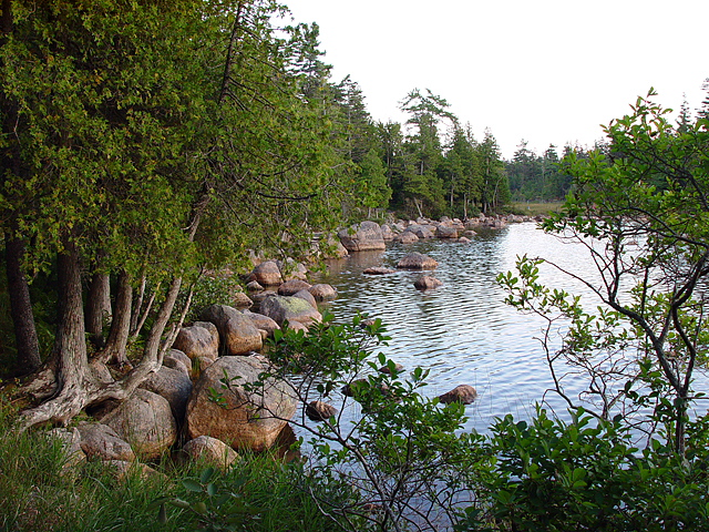 <B>Sheltered Cove*</b><br><font size=1>by Michael Buckman