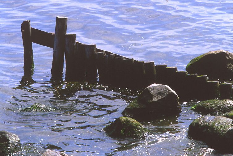 <p align=center><b> Stone and sticks in the sea</b> <br> <font size=1> by Moti Goldman</font></p>