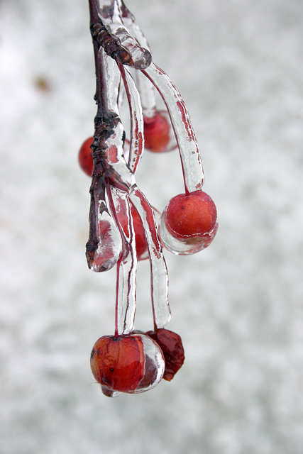 <b>Frozen Color*</b><br><font=1> by Mikelj