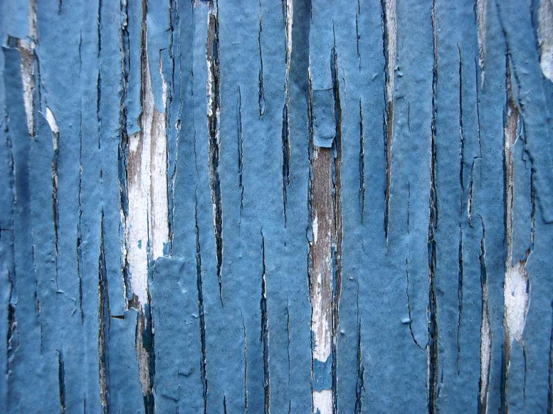 Fence <BR> by Vera