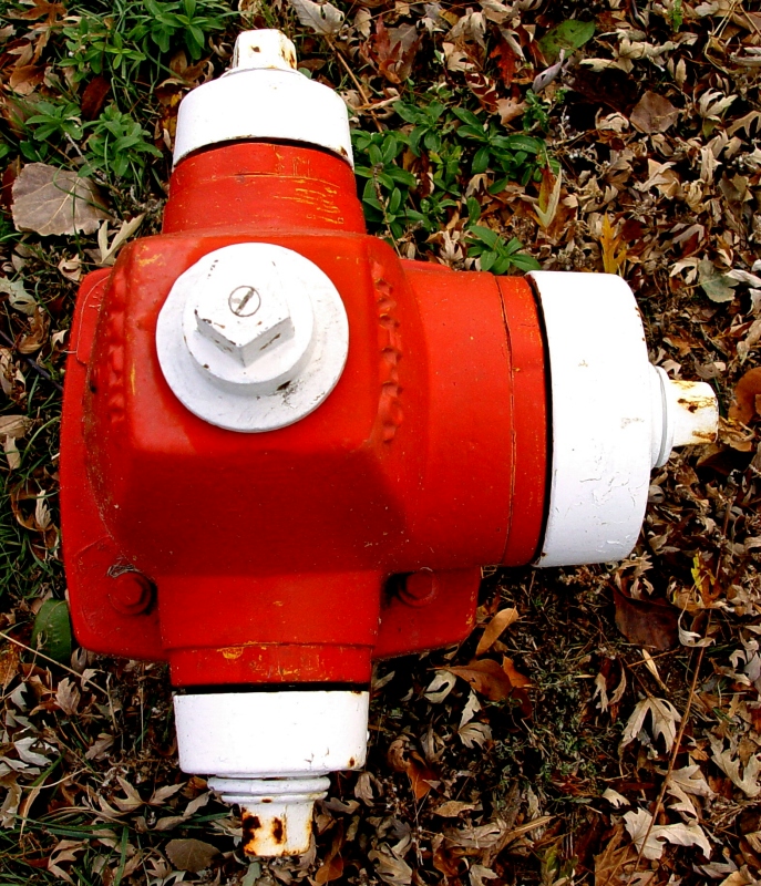 Fireplug by Tom C