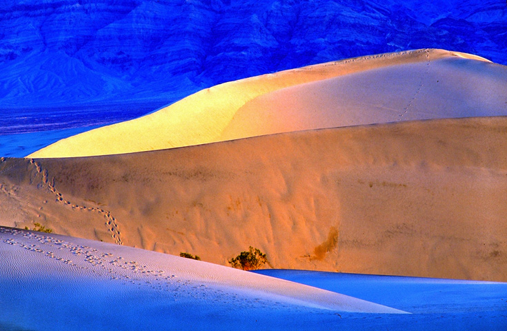 <b>3rd</b><br>Footprints In Sand Dunes by Bobby Tan