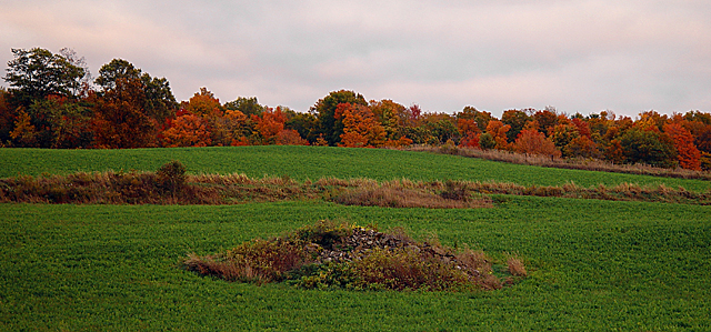 <b>Autumn Roadside*</b><br><font size =1>by Michael Buckman