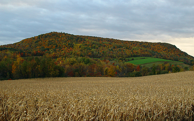 <b>Willard Mountain*</b><br><font size = 1>by Michael Buckman