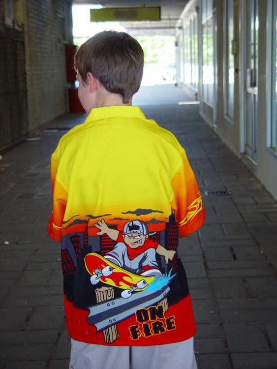 <p align=center><b>The Shirt* </b> <br> <font size=1> by Ric Skilton</font></p>