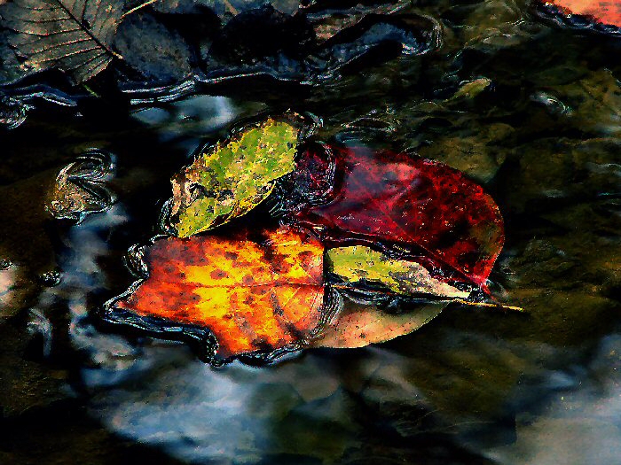 Fall Is Floating Away