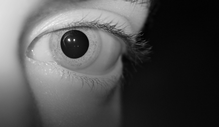 <b>I See in Shades of Gray</b>* by xsdg