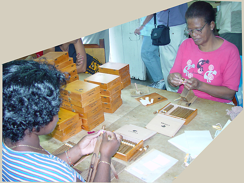 *<b>Busy Hands in a Cuban Cigar Factory</b><br>by Terry Straehley