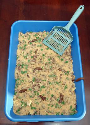 Litter_cake_D2X_0265.jpg