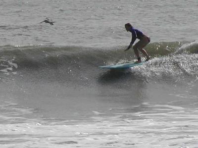 P1010153a.JPG
