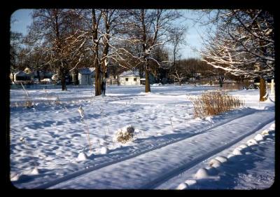 195X_XX_01_019.jpg